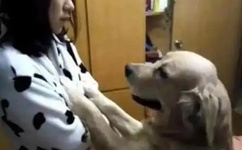 活生生割下头颅网站